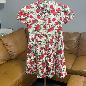 Zac Kids Red Apple Floral Kids Dress In good condition size 10/12